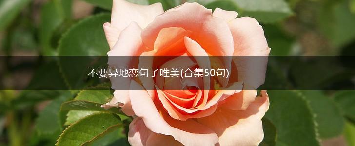 不要异地恋句子唯美(合集50句),第1张