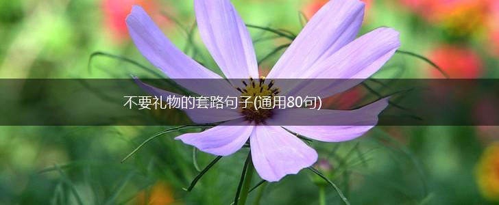 不要礼物的套路句子(通用80句),第1张