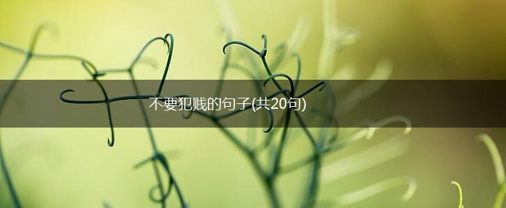 不要犯贱的句子(共20句),第1张