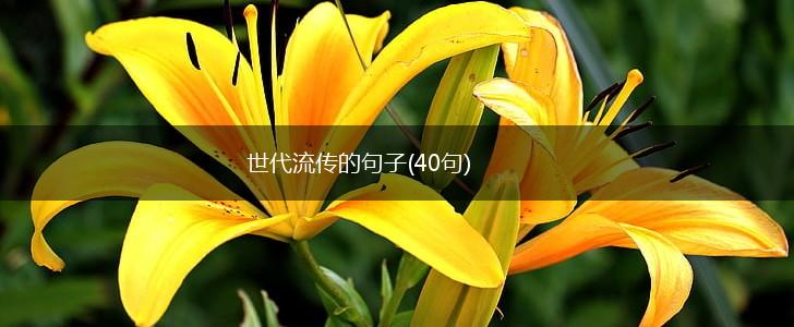 世代流传的句子(40句),第1张