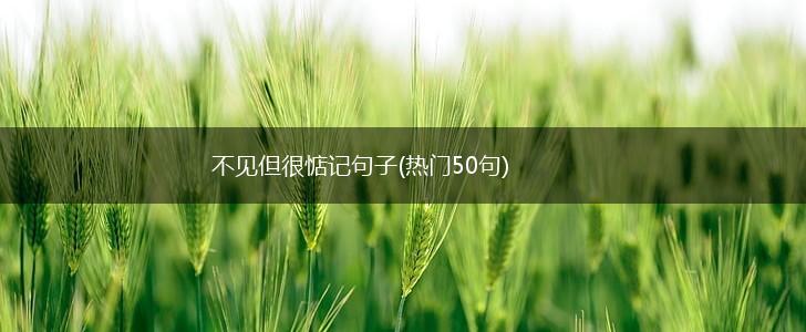 不见但很惦记句子(热门50句),第1张