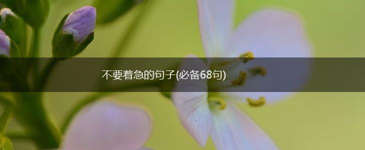 不要着急的句子(必备68句),第1张