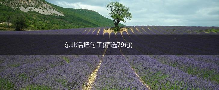 东北话把句子(精选79句),第1张