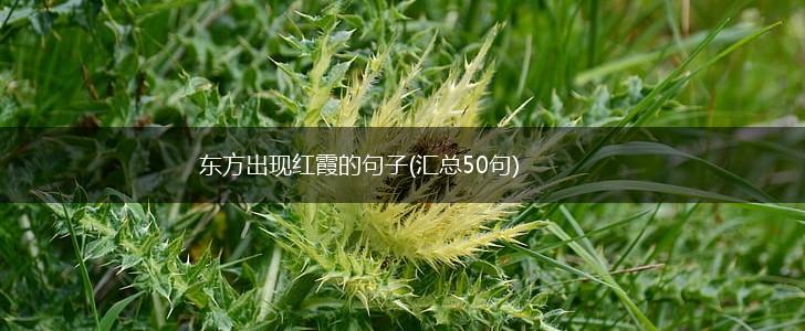 东方出现红霞的句子(汇总50句),第1张