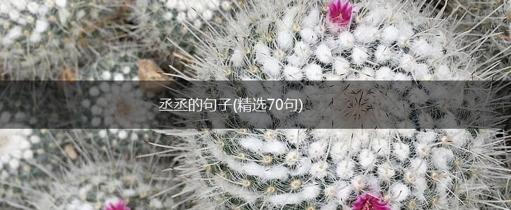 丞丞的句子(精选70句),第1张