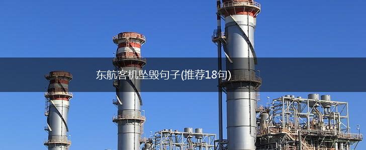 东航客机坠毁句子(推荐18句),第1张