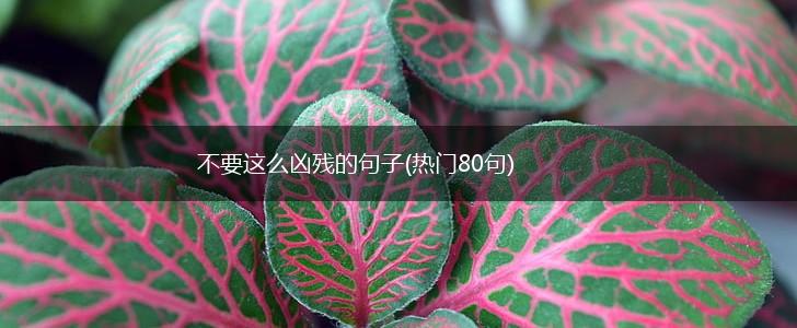 不要这么凶残的句子(热门80句),第1张
