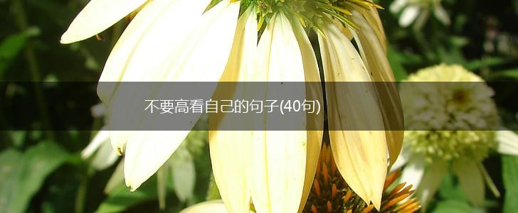 不要高看自己的句子(40句),第1张