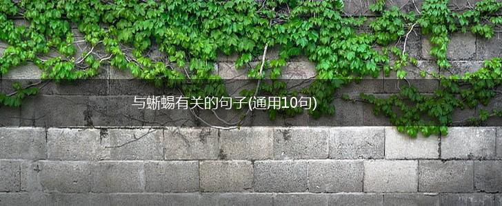 与蜥蜴有关的句子(通用10句),第1张