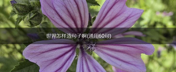 世界怎样造句子啊(通用60句),第1张