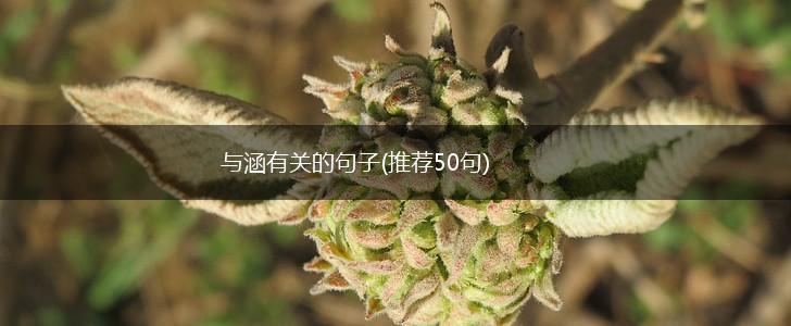 与涵有关的句子(推荐50句),第1张