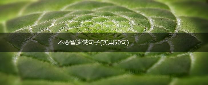 不要留遗憾句子(实用50句),第1张