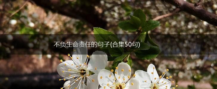 不负生命责任的句子(合集50句),第1张