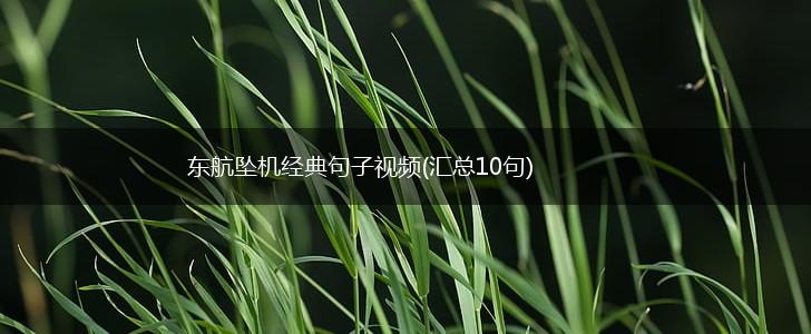 东航坠机经典句子视频(汇总10句),第1张