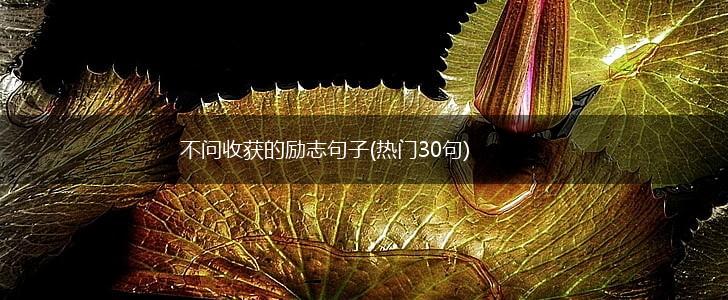 不问收获的励志句子(热门30句),第1张