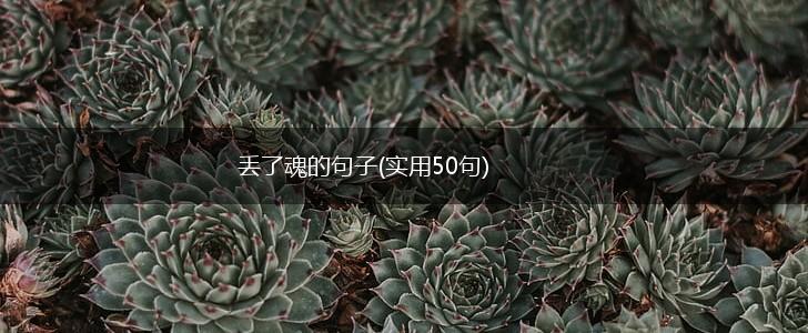 丢了魂的句子(实用50句),第1张