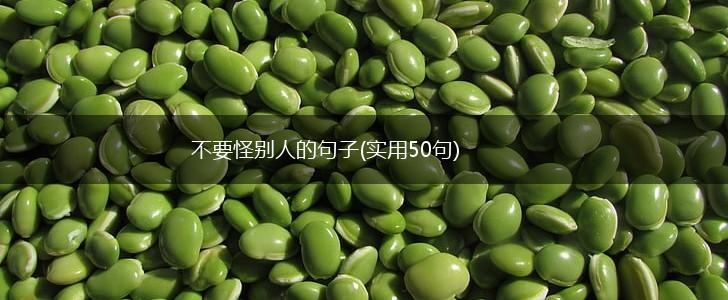 不要怪别人的句子(实用50句),第1张