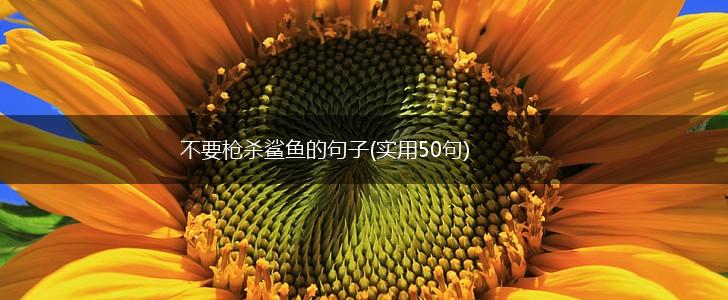 不要枪杀鲨鱼的句子(实用50句),第1张