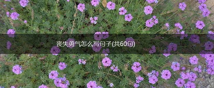 丧失勇气怎么写句子(共60句),第1张