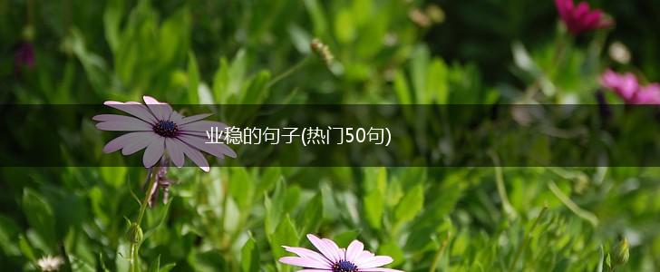 业稳的句子(热门50句),第1张