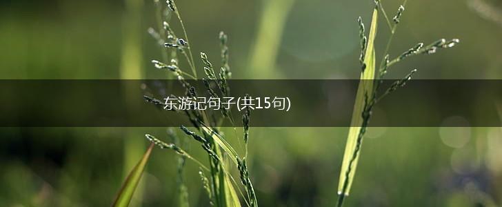 东游记句子(共15句),第1张