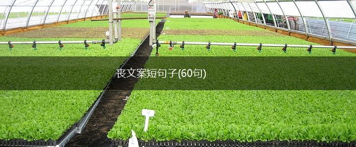 丧文案短句子(60句),第1张
