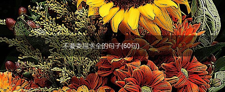 不要委屈求全的句子(60句),第1张