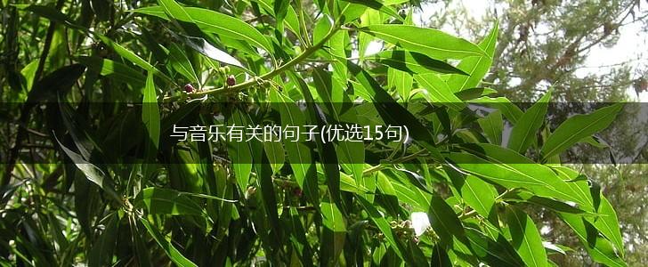 与音乐有关的句子(优选15句),第1张