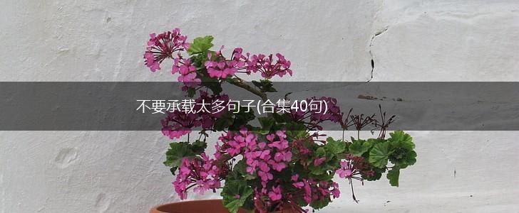 不要承载太多句子(合集40句),第1张
