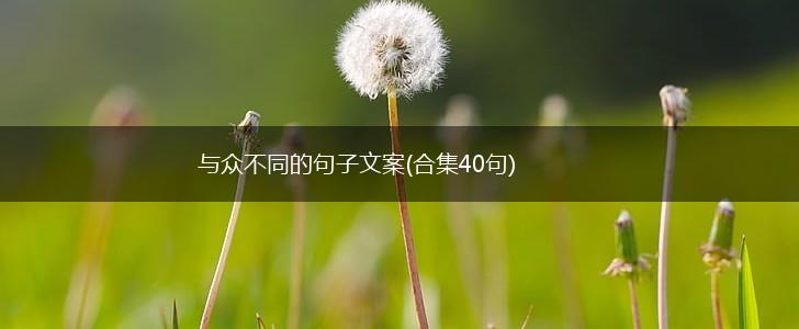 与众不同的句子文案(合集40句),第1张