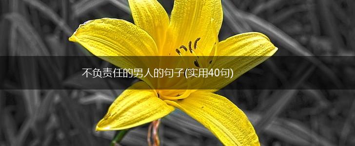 不负责任的男人的句子(实用40句),第1张