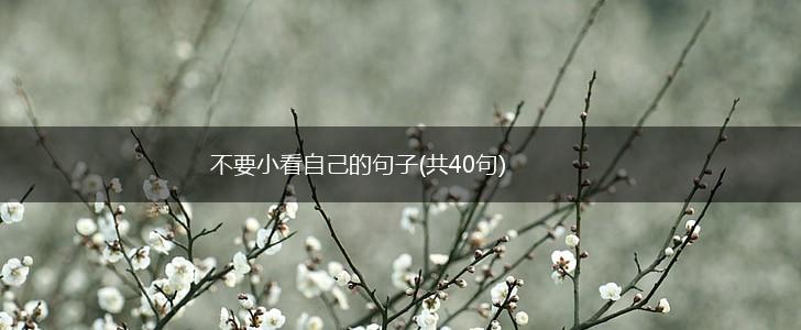 不要小看自己的句子(共40句),第1张
