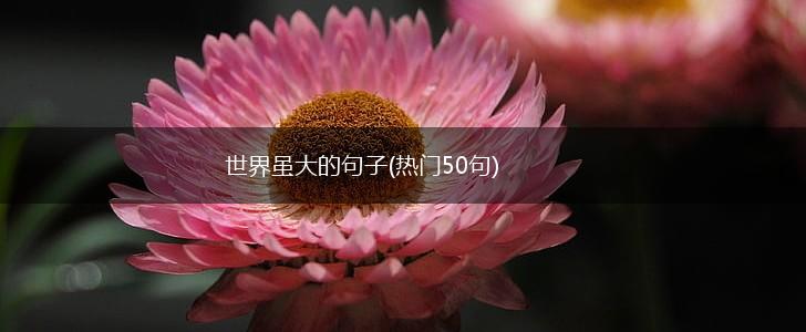 世界虽大的句子(热门50句),第1张