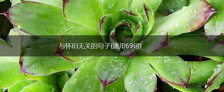 与怀旧无关的句子(通用69句),第1张