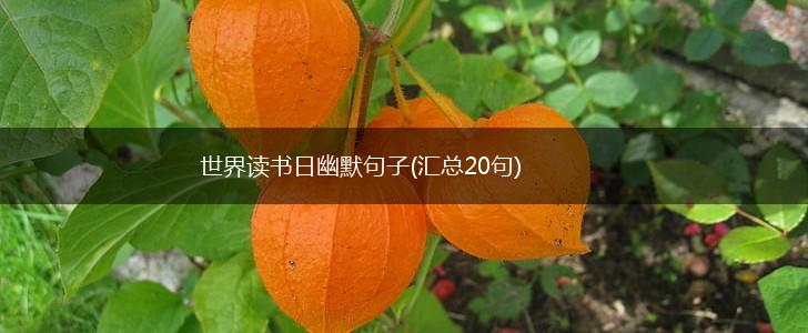 世界读书日幽默句子(汇总20句),第1张