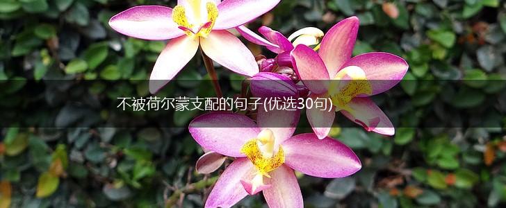 不被荷尔蒙支配的句子(优选30句),第1张