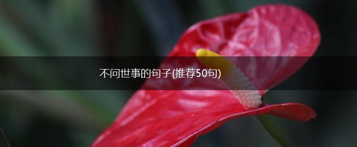 不问世事的句子(推荐50句),第1张