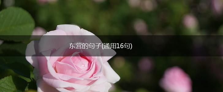 东营的句子(通用16句),第1张