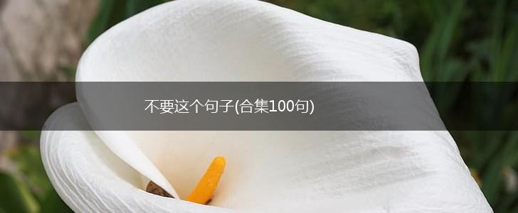 不要这个句子(合集100句),第1张