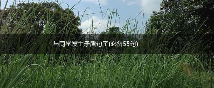 与同学发生矛盾句子(必备55句),第1张