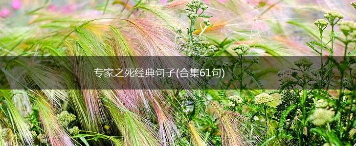 专家之死经典句子(合集61句),第1张