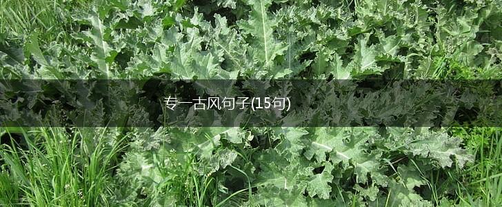 专一古风句子(15句),第1张