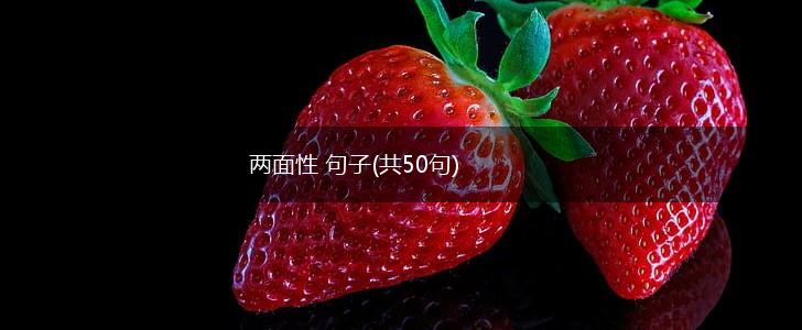 两面性 句子(共50句),第1张