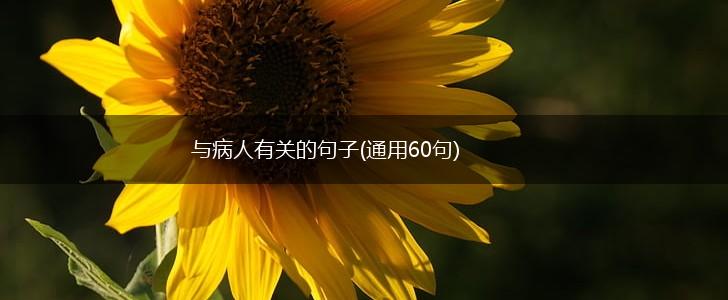 与病人有关的句子(通用60句),第1张