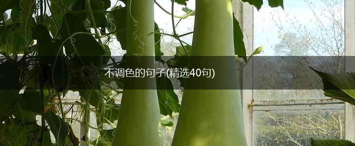 不调色的句子(精选40句),第1张