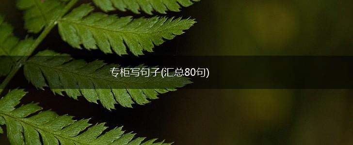 专柜写句子(汇总80句),第1张