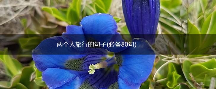 两个人旅行的句子(必备80句),第1张