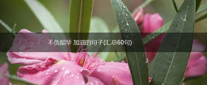 不负韶华 加油的句子(汇总60句),第1张