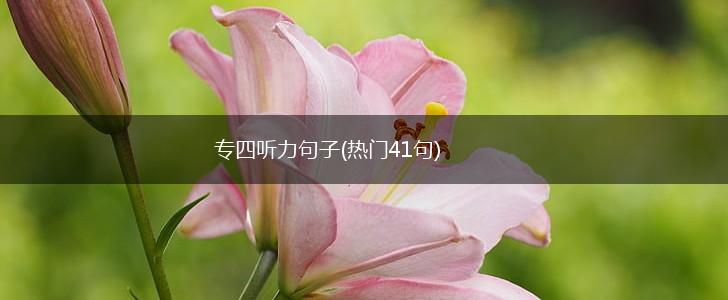 专四听力句子(热门41句),第1张