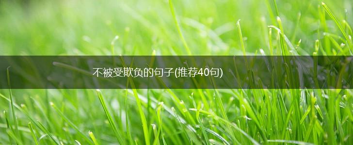 不被受欺负的句子(推荐40句),第1张